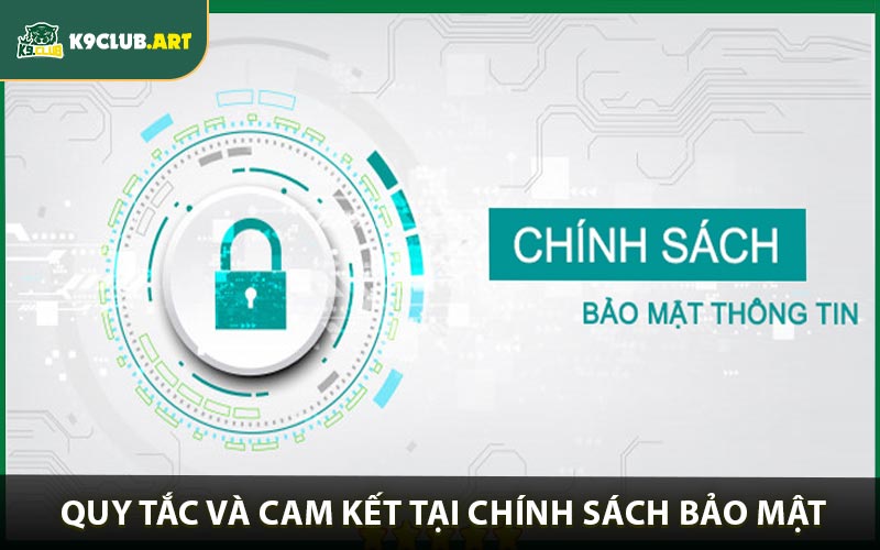 Quy tắc và cam kết tại chính sách bảo mật K9club