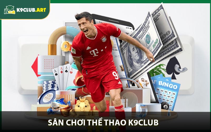 Tổng quan về Sân chơi thể thao K9club